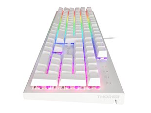 GENESIS THOR 303 RGB проводная белая механическая клавиатура | Outemu Brown цена и информация | Клавиатуры | kaup24.ee