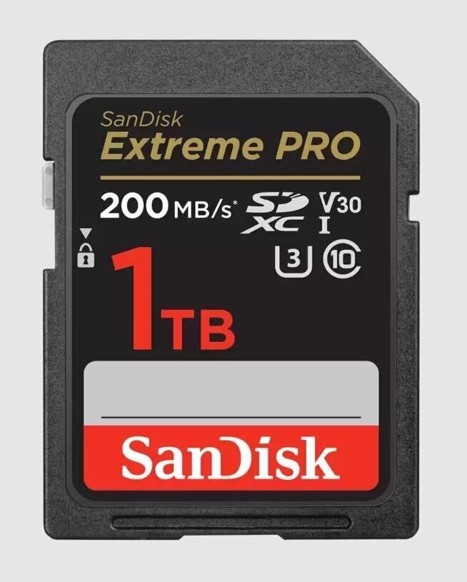 MEMORY SDXC 1TB UHS-I/SDSDXXD-1T00-GN4IN SANDISK цена и информация | Mobiiltelefonide mälukaardid | kaup24.ee