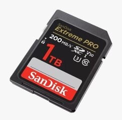 MEMORY SDXC 1TB UHS-I/SDSDXXD-1T00-GN4IN SANDISK цена и информация | Карты памяти | kaup24.ee