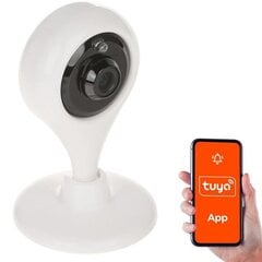 Камера видеонаблюдения 2MP CUBE WIFI/APTI-W21L1-TUYA GENWAY цена и информация | Камеры видеонаблюдения | kaup24.ee