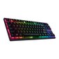 Deathstalker V2 Pro Tenkeyless RGB LED hind ja info | Klaviatuurid | kaup24.ee