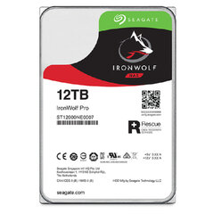 Жесткий диск Seagate ST12000NT001 3.5" 12 TB цена и информация | Внутренние жёсткие диски (HDD, SSD, Hybrid) | kaup24.ee