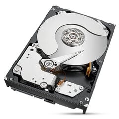 Seagate ST8000NT001 цена и информация | Внутренние жёсткие диски (HDD, SSD, Hybrid) | kaup24.ee