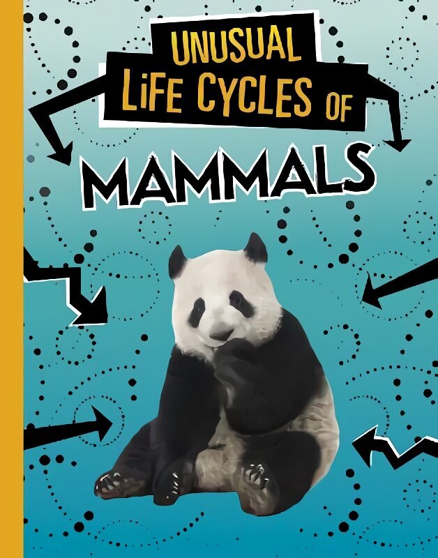 Unusual Life Cycles of Mammals цена и информация | Noortekirjandus | kaup24.ee