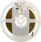 Eko-Light LED strip COB 6500K 5m 50W IP20 hind ja info | LED ribad | kaup24.ee