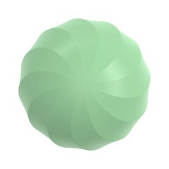 Interactive ball for dogs and cats Cheerble Ice Cream (Green) цена и информация | Игрушки для собак | kaup24.ee