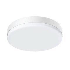 LED ceiling lamp BlitzWolf BW-LT38 with remote control, 24W цена и информация | Потолочные светильники | kaup24.ee