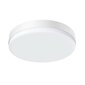 LED ceiling lamp BlitzWolf BW-LT38 with remote control, 24W цена и информация | Laelambid | kaup24.ee