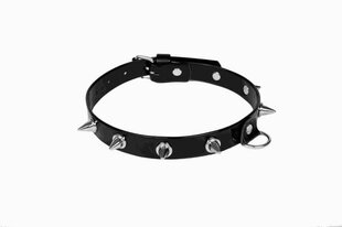 Whips Women's collar 2cm black hind ja info | BDSM ja fetish | kaup24.ee