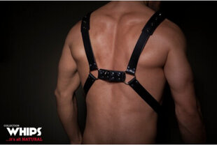Whips Harness No. 1 black цена и информация | БДСМ и фетиш | kaup24.ee