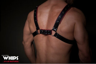 Whips Harness No. 2 red hind ja info | BDSM ja fetish | kaup24.ee