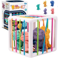 Woopie Flexible Sensory Cube Sorter for Children Colorful Dinosaurs 6 pcs. цена и информация | Развивающие игрушки | kaup24.ee