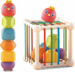 Woopie Flexible Sensory Cube Sorter for Children + Rattle 7 pcs. hind ja info | Arendavad mänguasjad | kaup24.ee