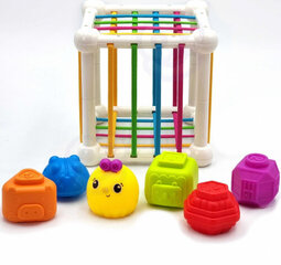 Woopie Flexible Sensory Cube Sorter for Children + Rattle 7 pcs. цена и информация | Развивающие игрушки | kaup24.ee