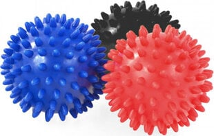 Inny Hedgehog balls Hard Profit 3pcs DK2110 цена и информация | Аксессуары для массажа | kaup24.ee