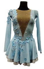 Iluuisutamise kleit hind ja info | Balletiriided | kaup24.ee