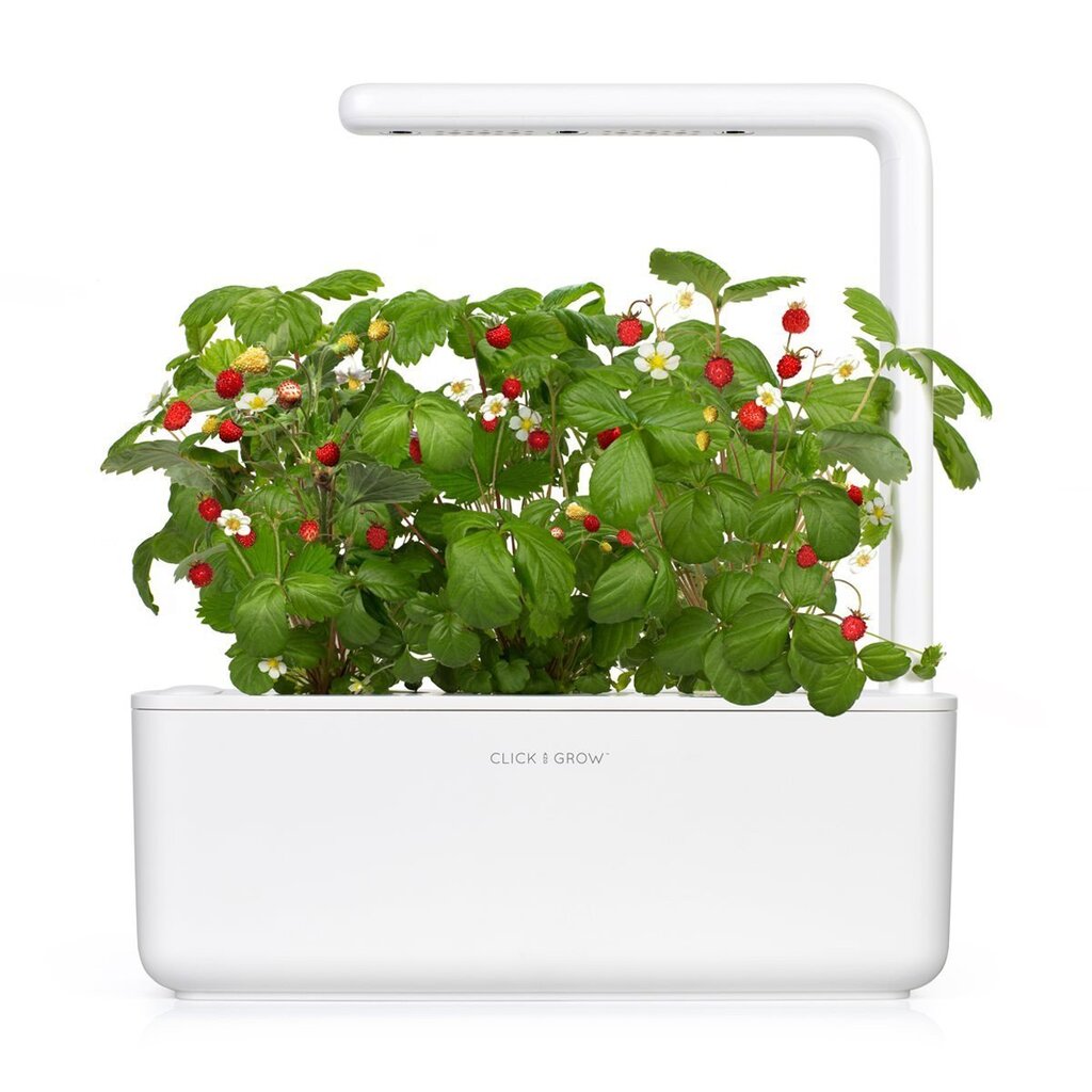 Click & Grow Smart Garden 3 hind ja info | Nutipotid ja taimelambid | kaup24.ee