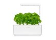 Click & Grow Smart Garden 3 hind ja info | Nutipotid ja taimelambid | kaup24.ee