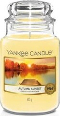 Lõhnaküünal Yankee Candle, 623g hind ja info | Yankee Candle Mööbel ja sisustus | kaup24.ee