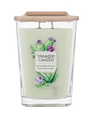 Свеча для дома Yankee Candle Cactus Flower & Agave Elevation цена и информация | Подсвечники, свечи | kaup24.ee