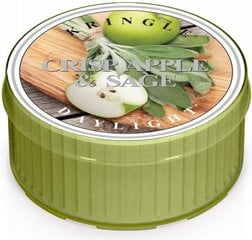 Ароматическая свеча Kringle Candle, 35 г цена и информация | Подсвечники, свечи | kaup24.ee