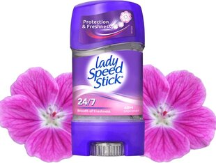 Гелевый антиперспирант Lady Speed Stick Breath of Freshness 65г цена и информация | Дезодоранты | kaup24.ee