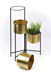 SWEN GOLD Kwietnik h80x19.5cm, h60x19.5cm, h40x19.5cm цена и информация | Подставки для цветов, держатели для вазонов | kaup24.ee