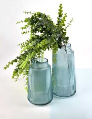 SERENITY Vase si ƒe didime nye 11,5xh20cm hind ja info | Vaasid | kaup24.ee