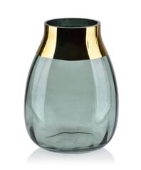 SERENITE Vase 17xh23cm amadede dzẽ-sika hind ja info | Vaasid | kaup24.ee