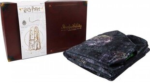 Harry Potter - Deluxe Invisibility Cloak Illusion. цена и информация | Атрибутика для игроков | kaup24.ee