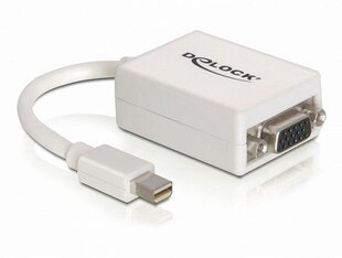 Adapter Delock miniDisplay 20pin (M) – VGA 15pin (F) hind ja info | Delock Arvutid ja IT- tehnika | kaup24.ee
