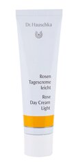 Tooniv päikesekreem näole Dr. Hauschka Tinted Face Sun Cream SPF30, 40 ml цена и информация | Кремы от загара | kaup24.ee