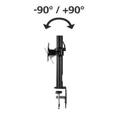 Настольное крепление для монитора Hama Dual (10-26) цена и информация | Кронштейны для монитора | kaup24.ee