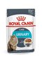 Märgtoit kassidele Royal Canin Fcn Wet 85gx12 Urinary Care In Gravy цена и информация | Konservid kassidele | kaup24.ee