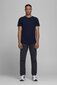 Meeste T-särk Jack & Jones 12058529NAVYBLUE-S цена и информация | Meeste T-särgid | kaup24.ee