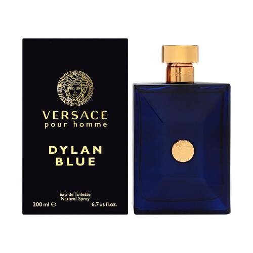 Tualettvesi Versace Pour Homme Dylan Blue EDT meestele 200 ml цена и информация | Meeste parfüümid | kaup24.ee