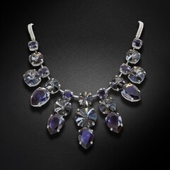 Naiste kaelakee Diamond Sky „Arlain“ koos Preciosa kristallidega DS00N106 hind ja info | Kaelakeed | kaup24.ee