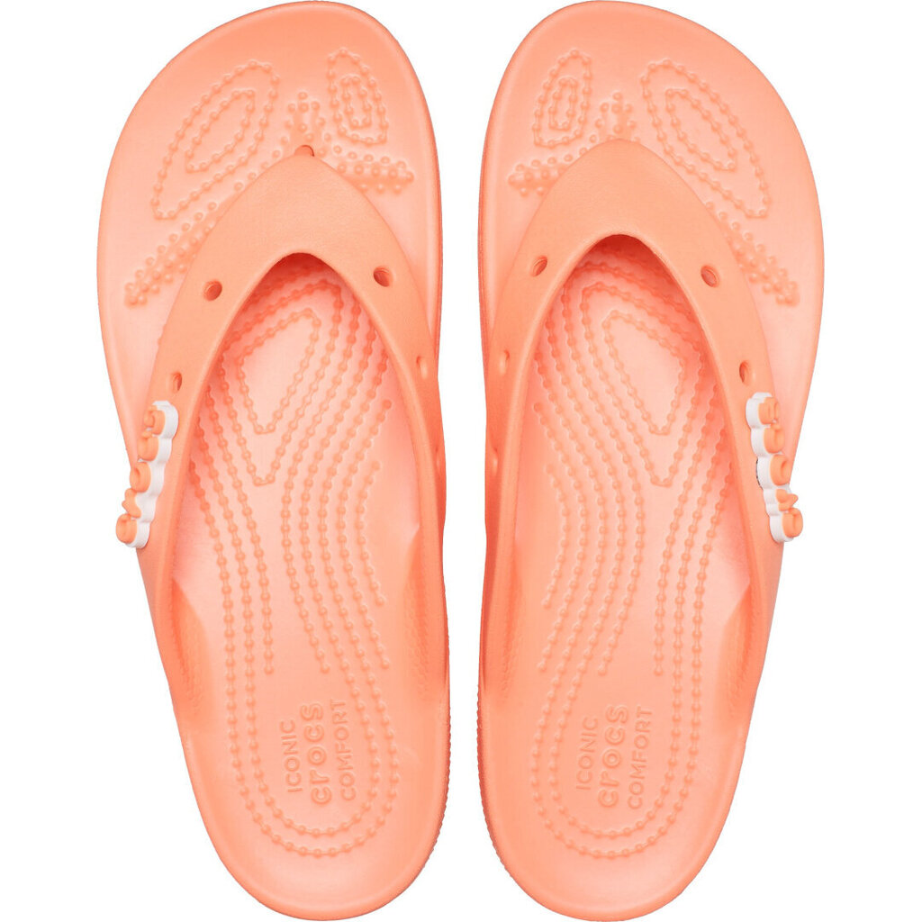 Naiste sussid Crocs™, oranž Classic Platform 181339 hind ja info | Naiste plätud ja sussid | kaup24.ee