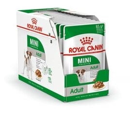 Royal Canin Karma ROYAL CANIN SHN Mini Adult w sosie 12X85G hind ja info | Royal Canin Lemmikloomatarbed | kaup24.ee