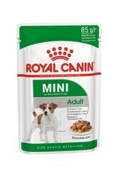 Royal Canin Karma ROYAL CANIN SHN Mini Adult w sosie 12X85G цена и информация | Консервы для собак | kaup24.ee