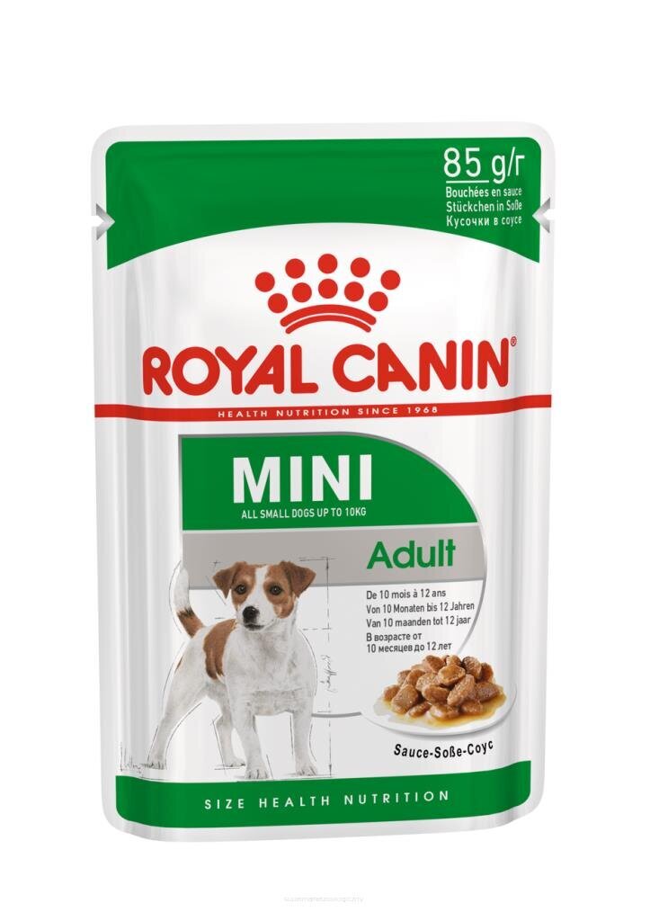 Royal Canin Karma ROYAL CANIN SHN Mini Adult w sosie 12X85G цена и информация | Konservid koertele | kaup24.ee