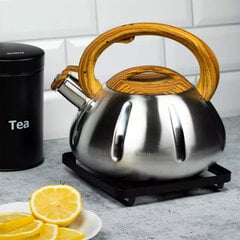 чайник со свистком kinghoff 3,0 л kh-3291 цена и информация | Чайники, кофейники | kaup24.ee