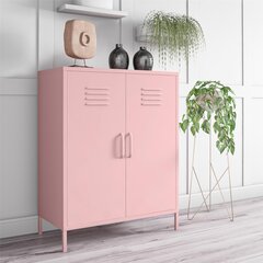 Шкафчик Novogratz Cache, розовый цвет цена и информация | Шкафчики в гостиную | kaup24.ee
