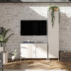 Шкаф Dorel Home Evolution, белый цена и информация | Шкафчики в гостиную | kaup24.ee