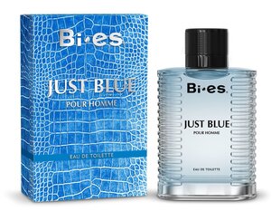 Tualettvesi Bi-es Just Blue EDT meestele 100ml hind ja info | Bi-es Kosmeetika, parfüümid | kaup24.ee