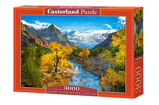 Castorland pusle Autumn in Zion National Park, USA 3000 det. hind ja info | Pusled | kaup24.ee