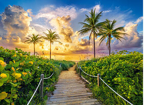 Castorland pusle Colorful Sunrise in Miami,USA 3000 det. цена и информация | Пазлы | kaup24.ee