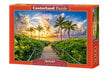 Castorland pusle Colorful Sunrise in Miami,USA 3000 det. hind ja info | Pusled | kaup24.ee