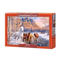 Castorland pusle Winter Melt 500 det hind ja info | Pusled | kaup24.ee