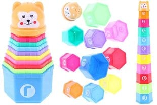 Torn karu hind ja info | Imikute mänguasjad | kaup24.ee